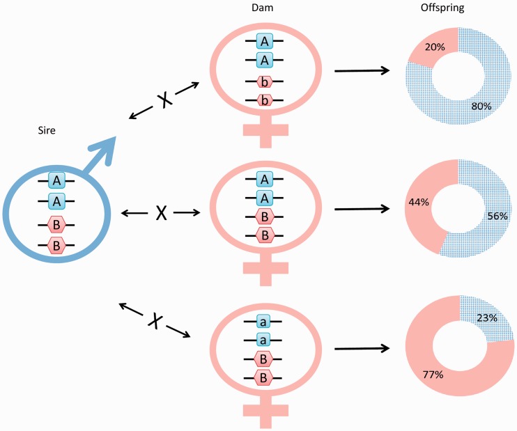 Figure 3: