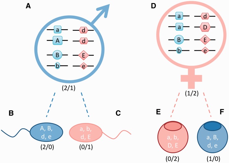 Figure 2: