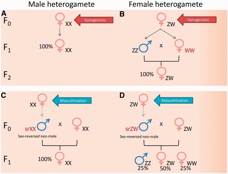 Figure 1: