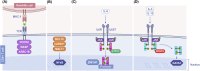 Fig. 10