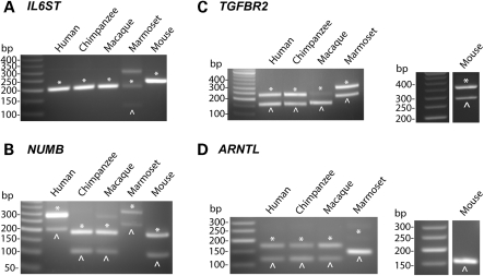 Figure 4.