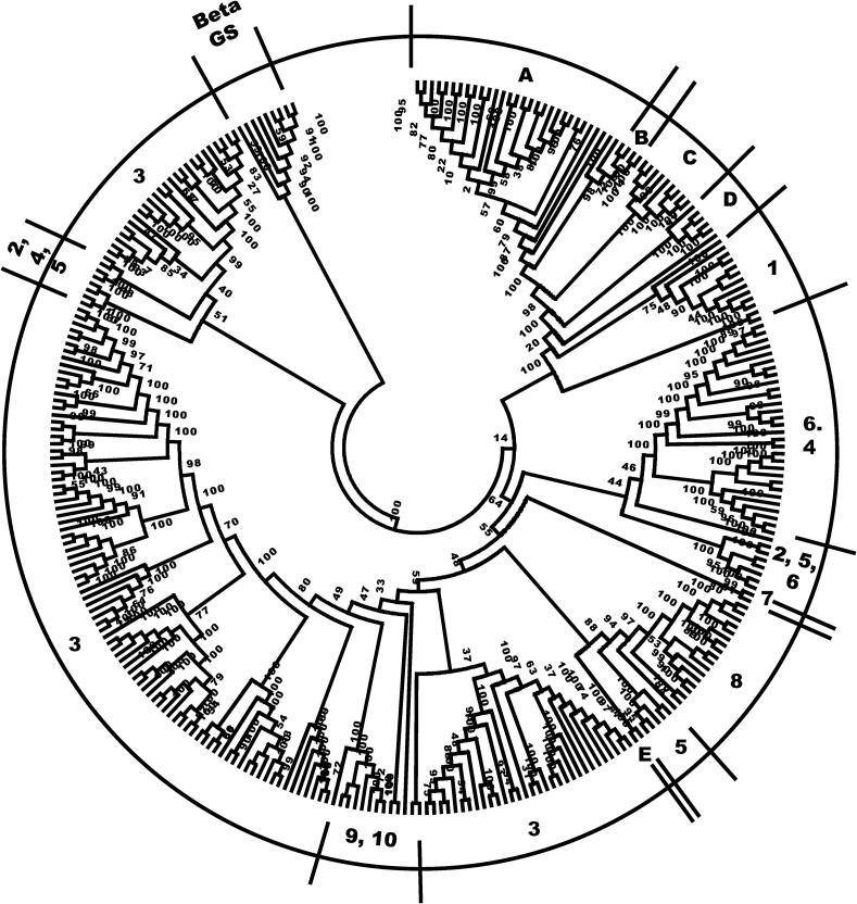 Fig. 2