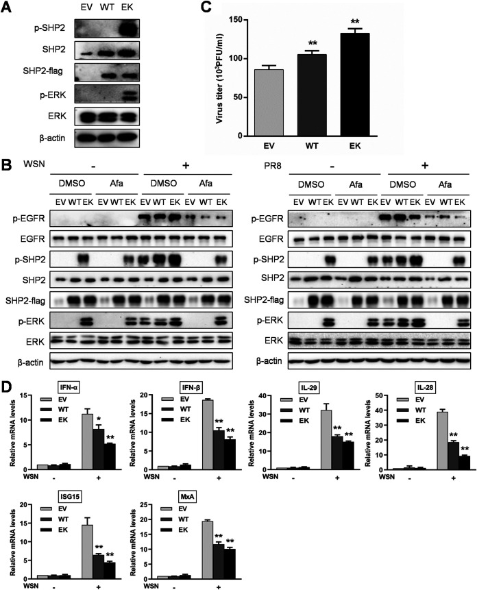 FIG 8