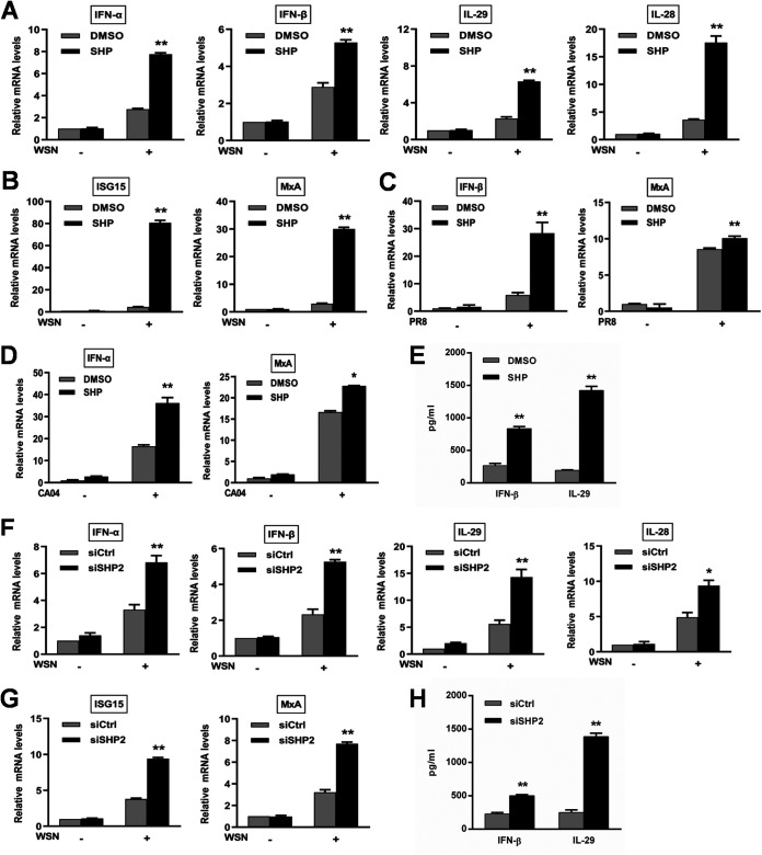 FIG 6