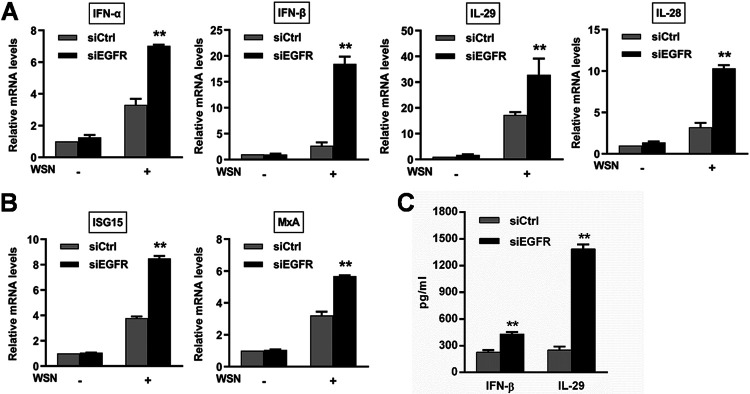 FIG 4