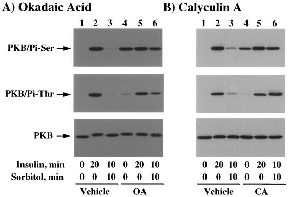 FIG. 10