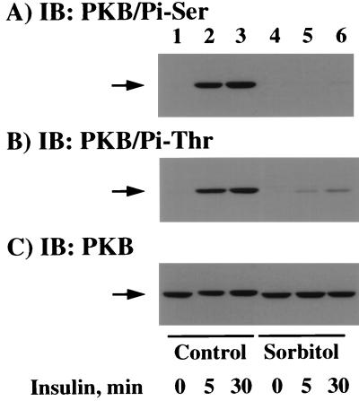 FIG. 7