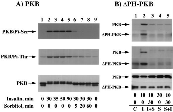 FIG. 9