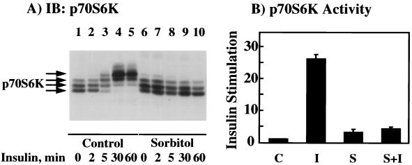 FIG. 8