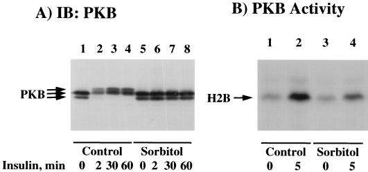 FIG. 6