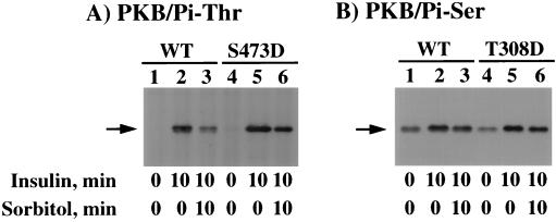 FIG. 11