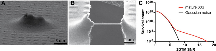 Figure 1—figure supplement 1.