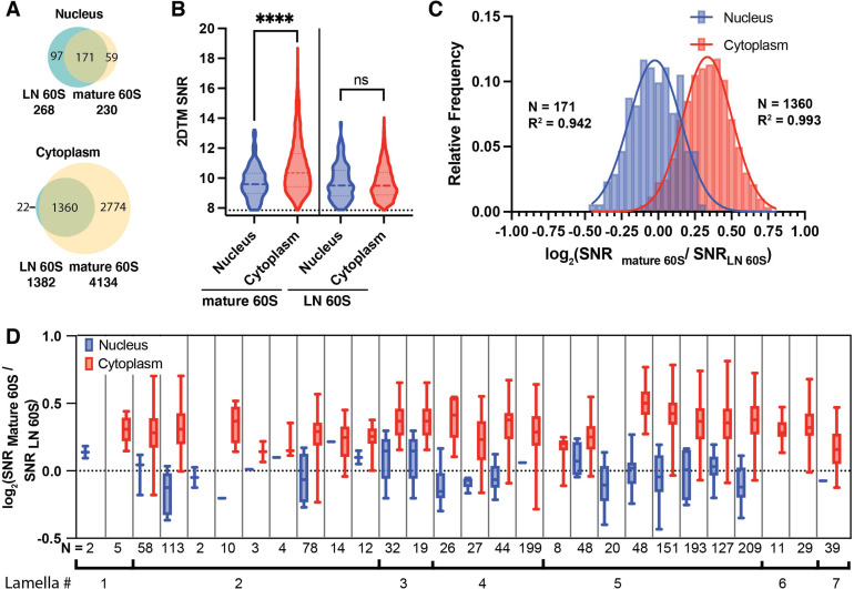 Figure 2—figure supplement 1.