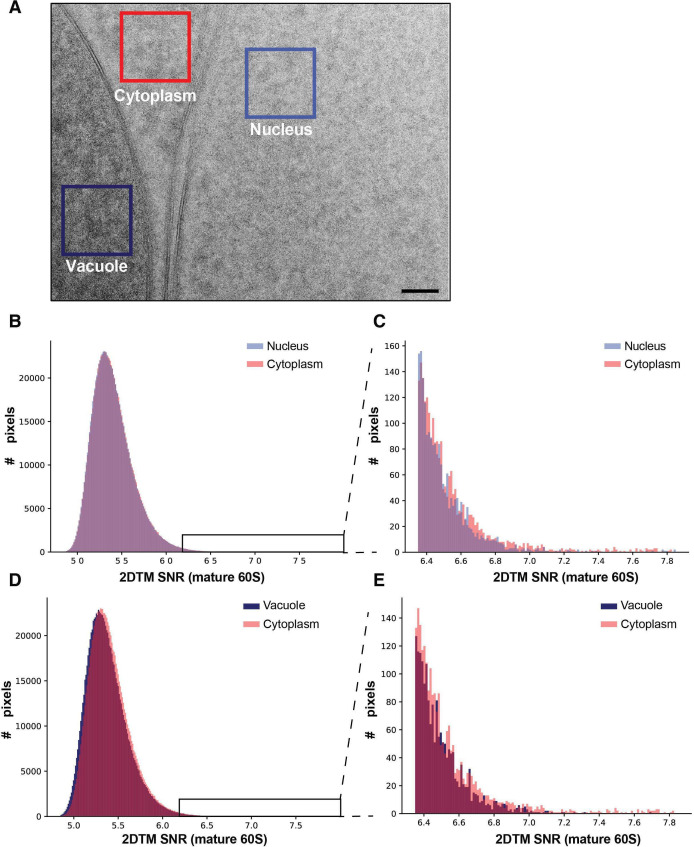 Figure 1—figure supplement 2.