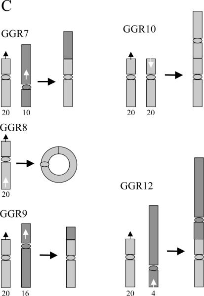 FIG. 8