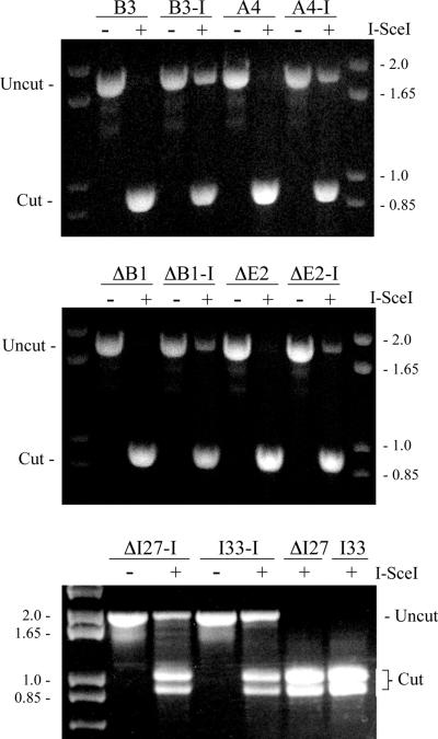 FIG. 5