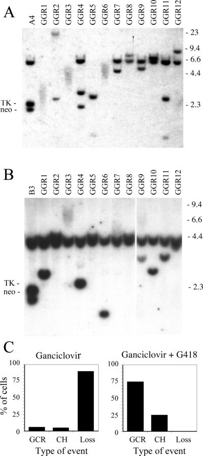 FIG. 7