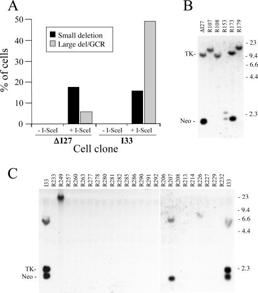 FIG. 6