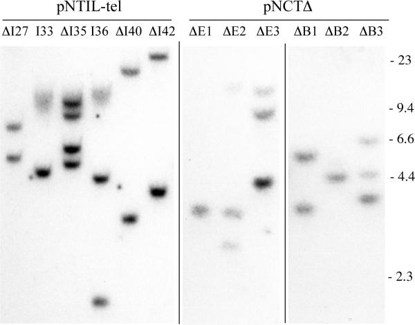 FIG. 1