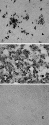 Fig. 1A–C
