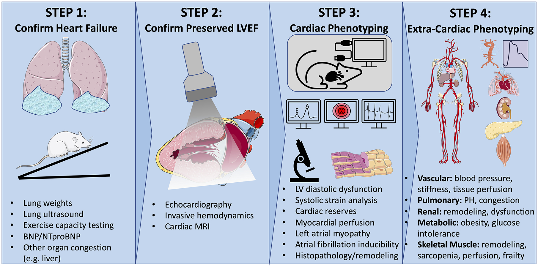 Figure 1: