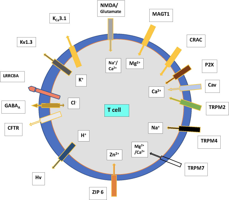 Figure 1