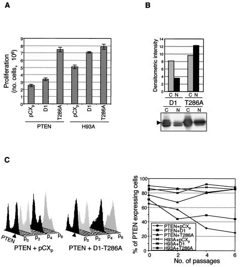 FIG. 7.