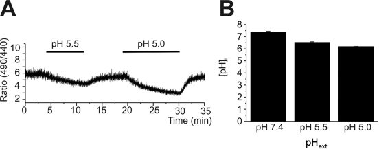 Fig. 6