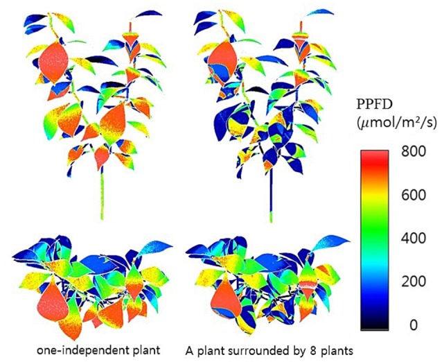 Figure 7