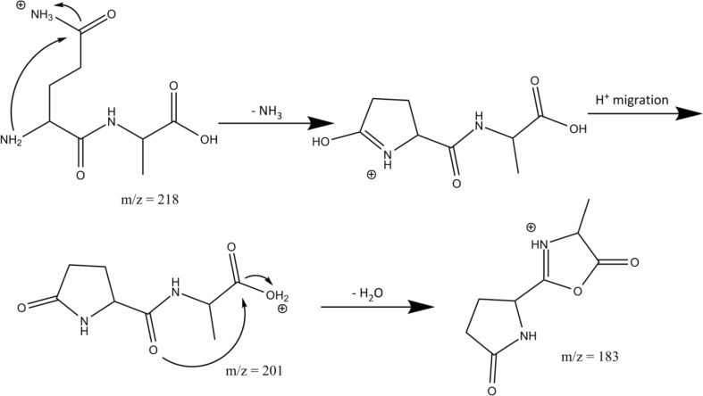 Scheme 5