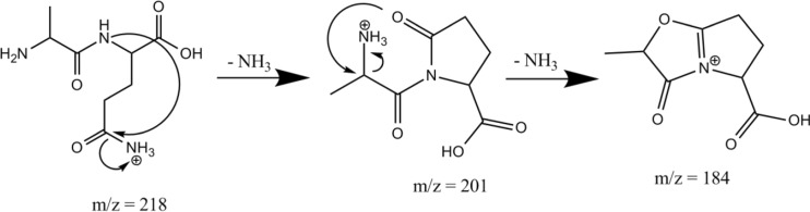 Scheme 4