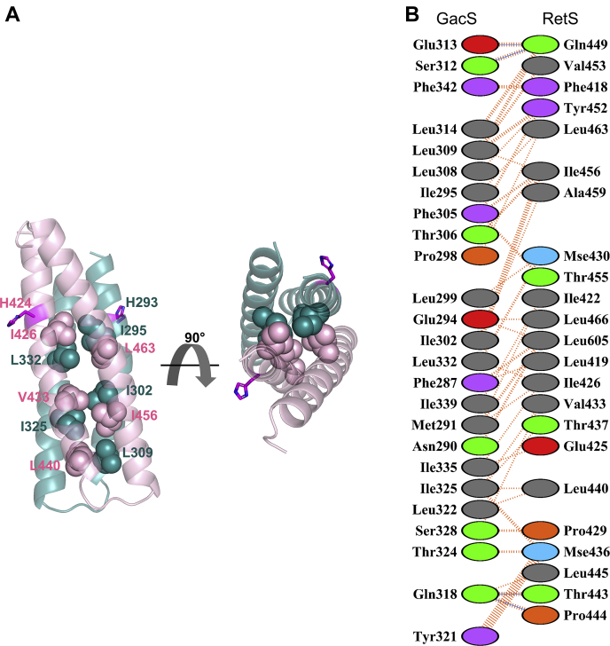 Figure 2