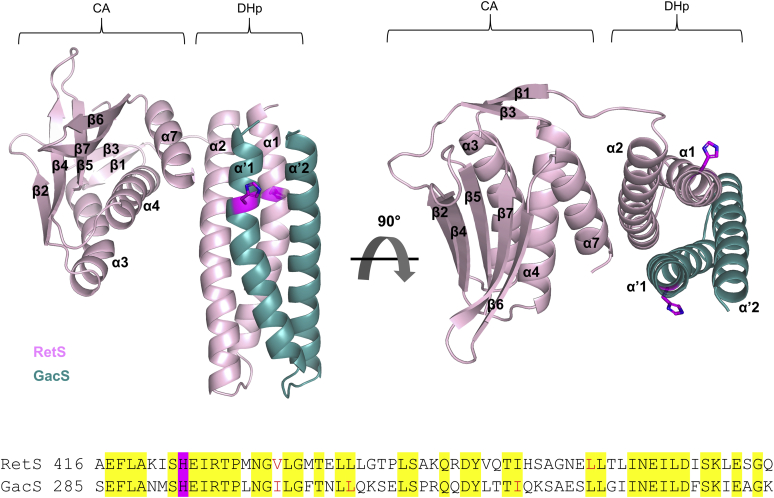 Figure 1