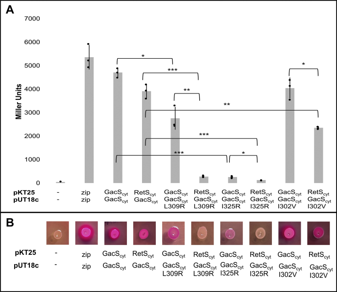 Figure 6