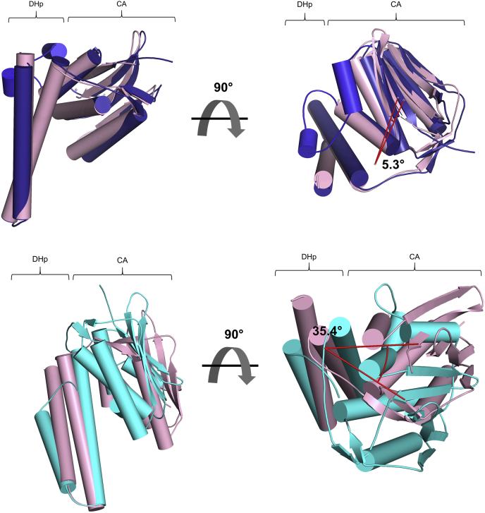 Figure 4