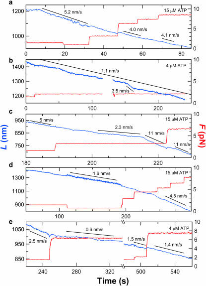 FIGURE 4