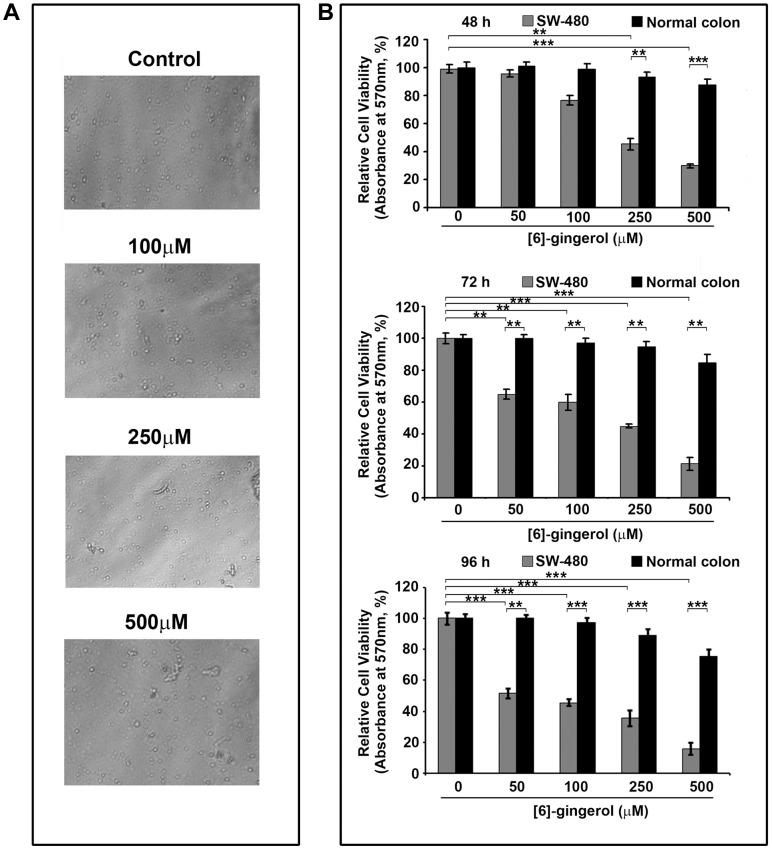 Figure 2.Comparison