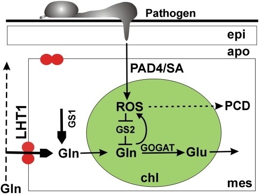 Figure 9.