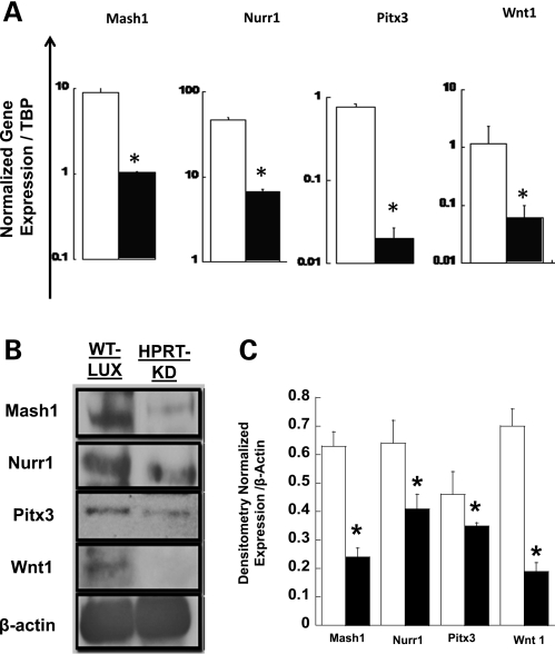 Figure 6.