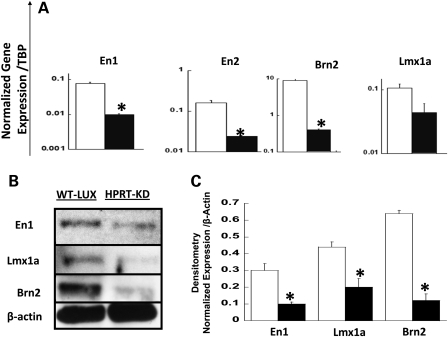 Figure 2.