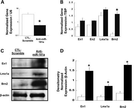 Figure 4.