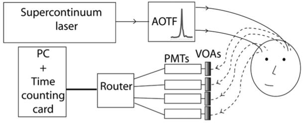 Fig. 24.1