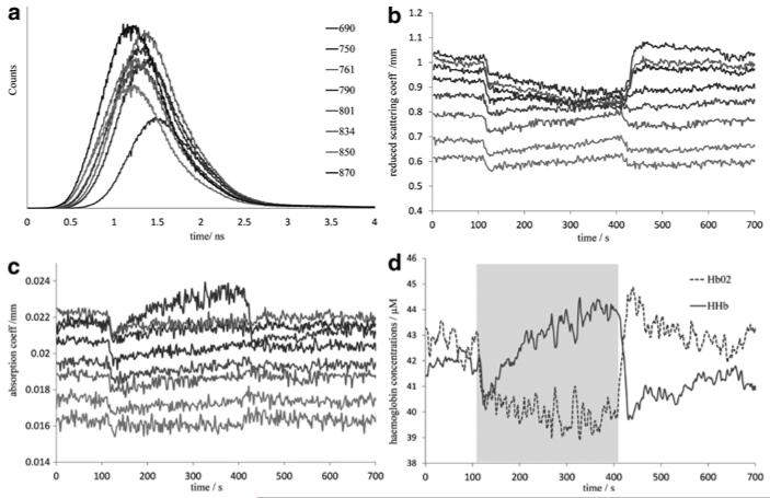 Fig. 24.3