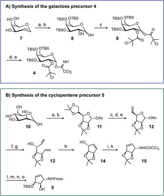 Scheme 1