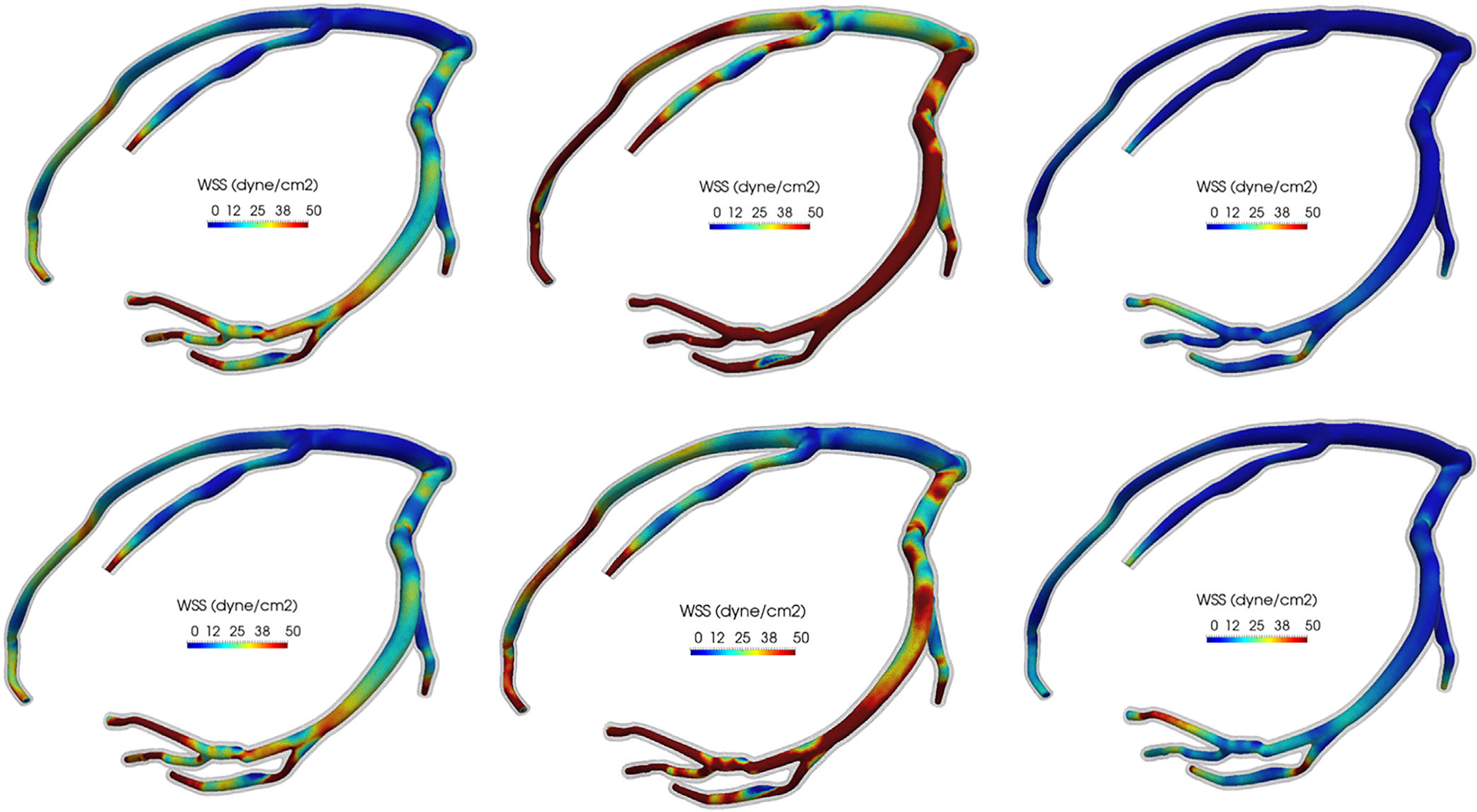 FIGURE 13