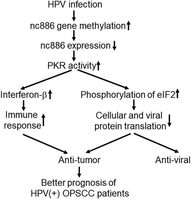 Figure 5