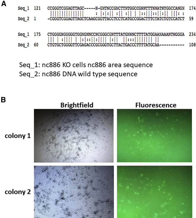 Figure 3