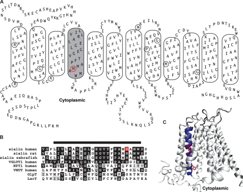 FIGURE 1.