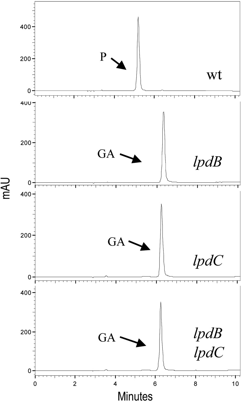 Fig 6