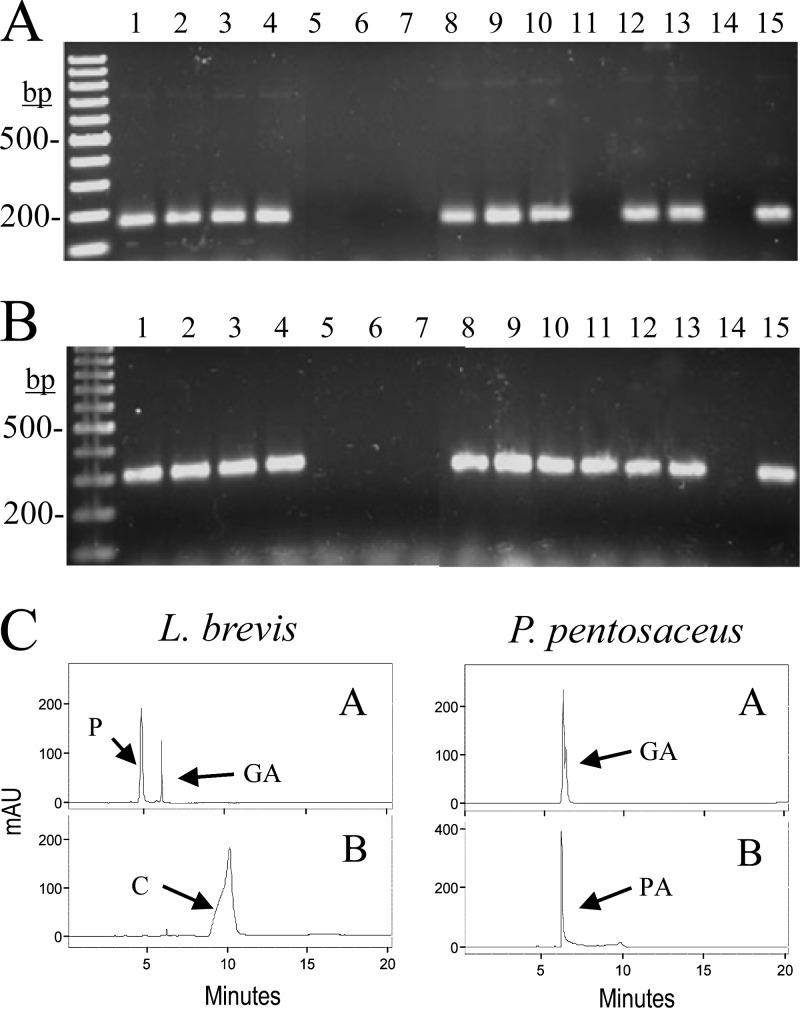 Fig 7